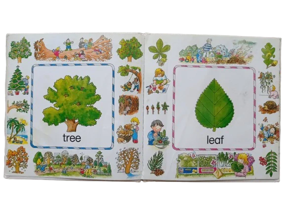 Outdoor words