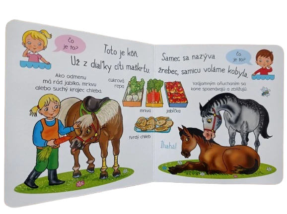 Čo je to? - Kone