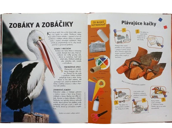 Zaujímavosti a hry - Zvieratá