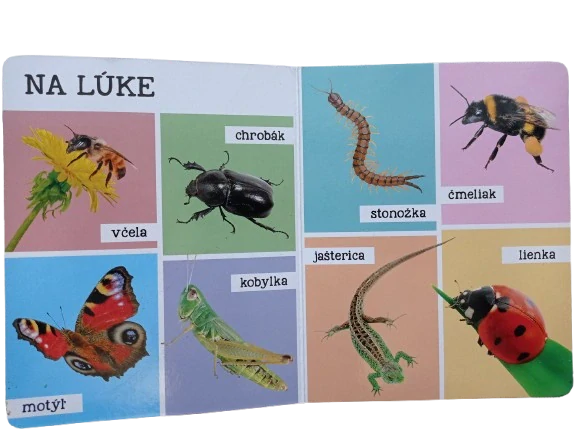 Mojich prvých 100 zvierat