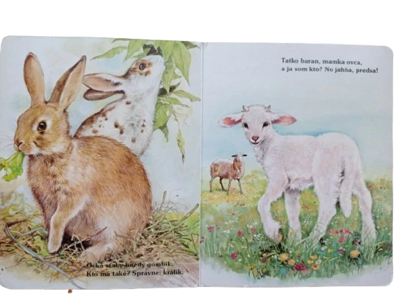 Moje najmilšie zvieratká na dvore
