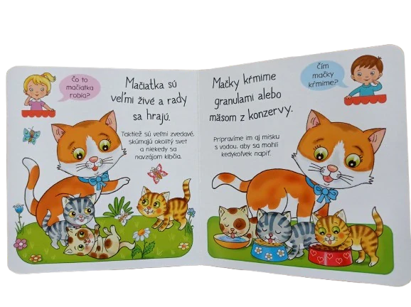 Čo je to? - Mačky