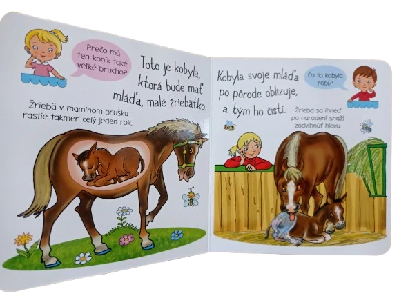 Čo je to? - Kone