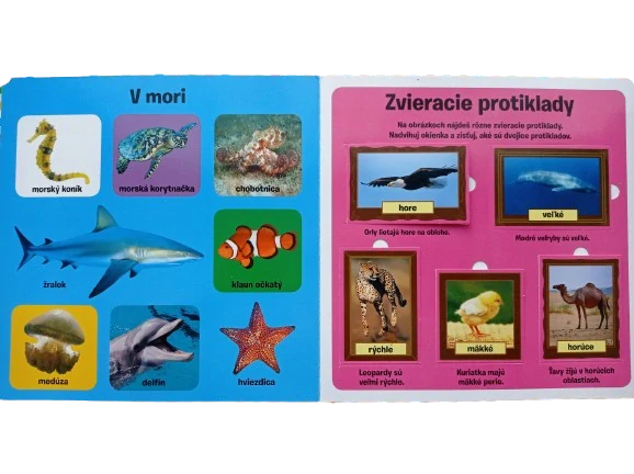 Pozri sa pod okienko - Prvých 100 zvierat
