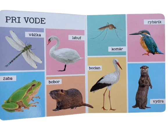 Mojich prvých 100 zvierat