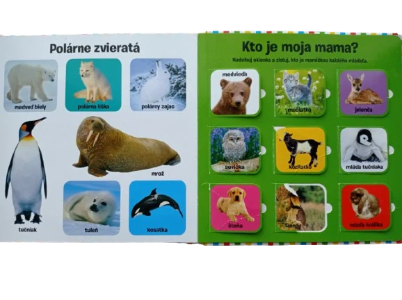 Pozri sa pod okienko - Prvých 100 zvierat